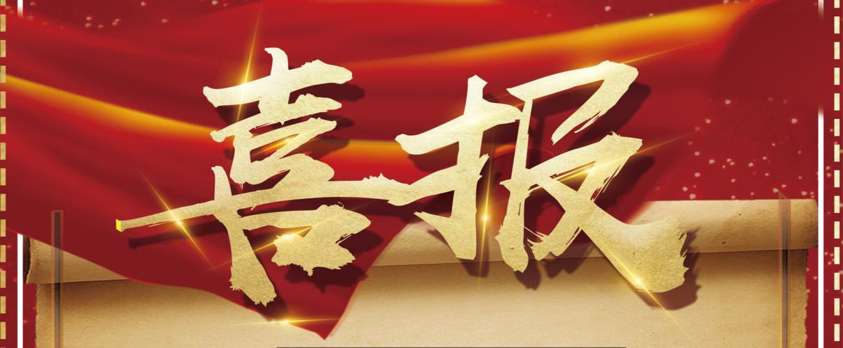 哪款蜘蛛池程序值得推荐